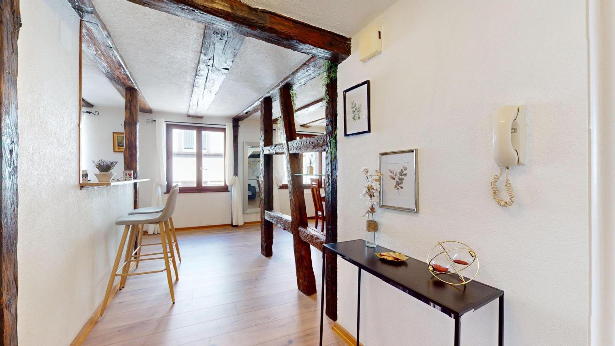 Au Petit Vauban 2 Chambres & Parking Colmar Exterior foto